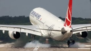 Extreme Crosswind Landing  Turkish Airlines Airbus A330 Drift  HD [upl. by Ysnil]