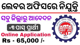 Labour Office Recruitment 2024  Salary  65000  PM  Odisha Latest Job Update  Check Details [upl. by Aihsram]