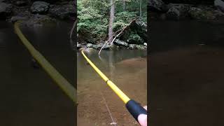 How to Catch Trout on Spinners [upl. by Amor119]