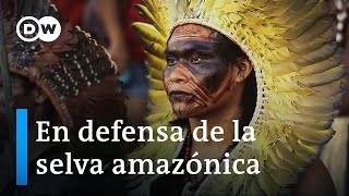 La Amazonía en peligro los pueblos originarios y su lucha por la selva  DW Documental [upl. by Torrlow403]