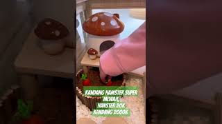 Membuat Kandang Hamster Besar Mewah Keren dan Menarik [upl. by Spancake]