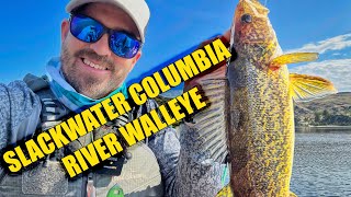 Slackwater Columbia River Walleye [upl. by Riess]