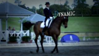 Dressage NSW [upl. by Edna]