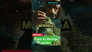 Power by Moringa powder🍂🍂 video moringa [upl. by Nahoj798]