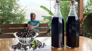 Refreshing Aronia Berry Chokeberry Antioxidant Syrup [upl. by Nguyen903]