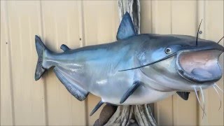 Blue Catfish Fish Mount Replica by Coast to Coast Fish Mounts [upl. by Kathryn]