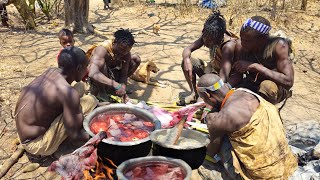 Hadzabe Tribe Hunt KlipSpringer For LunchHunters Ways Of Life [upl. by Anjela]