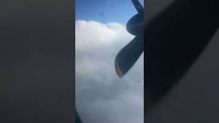 MISTAKE IN FLIGHT trending shorts plane viralvideo airplane short flight mistake facts hit [upl. by Kono]