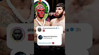 Magomed Ankalaev VS Alex Pereira UFC310 😌⁉️⁉️ufc mma khabib [upl. by Haelhsa68]