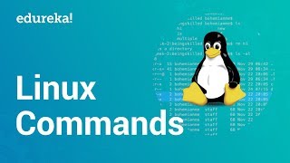 Linux Commands  Command Line Basics  Linux Certification Training  Edureka [upl. by Baskett]