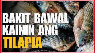 BAKIT DAPAT NA IWASAN ANG PAGKAIN NG ISDANG TILAPIA BAGO KA KUMAIN PANOORIN MO ITO [upl. by Loesceke604]