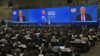 UN chief urges significant investment in fund to save nature  AFP [upl. by Atilrahc731]