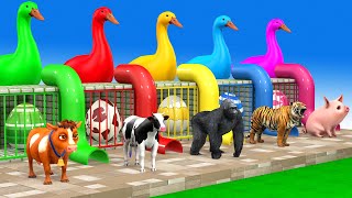 5 Giant Duck Cartoon Cow Elephant Tiger Gorilla Dinosaur Transfiguration funny animal 2023 [upl. by Nerej]