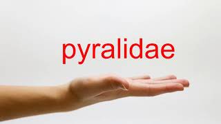 How to Pronounce pyralidae  American English [upl. by Eniamaj573]