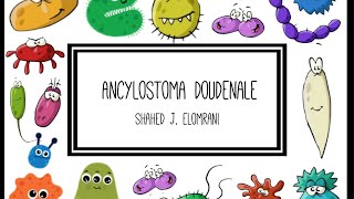 Ancylostoma Duodenale [upl. by Aitsirhc]