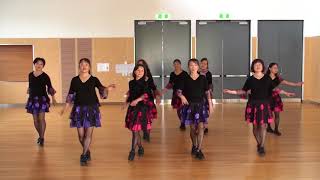 Silver WingsLine amp Partner Dance（Demo amp Teach）  NZ Monday Vivace [upl. by Beckman]