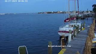 Dolphin Landings Charter Boat Center Live Stream [upl. by Grondin]