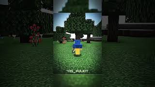 Minecraft Country Moment 💀  minecraft gaming shorts [upl. by William]