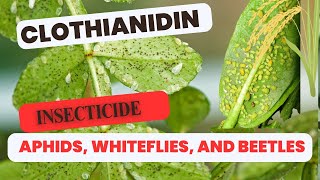 Clothianidin The Powerful Neonicotinoid Insecticide  Uses Mode of Action amp Benefits [upl. by Ominorej]