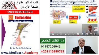 Diabetes Mellitus 1 Introduction cme internalmedicine medical usmle محاضراتباطنة [upl. by Chatwin]