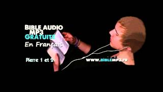 Bible audio  Les 2 épîtres de Pierre  Bible MP3 en Français [upl. by Capps347]