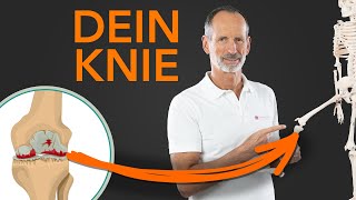 Dein KNIE – DAS solltest du wissen wenn du Knieschmerzen hast [upl. by Fanni]