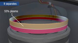 Apheresis donation how does it work [upl. by Bullivant]