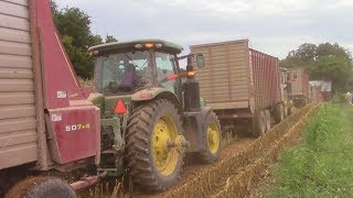 2017 Corn Chopping Army of HampS Forage Wagons [upl. by Yornek]