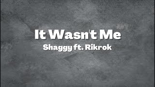 Shaggy Ft Rikrok  It Wasnt Me Lyrics [upl. by Anaderol782]