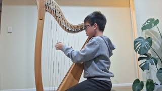 NZ 2024 Harp Performance Competition  Elementary  Leonard  WINNER [upl. by Aniham]