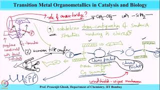 Week 11Lecture 52  Olefin Polymerization Part 13 [upl. by Ylera]