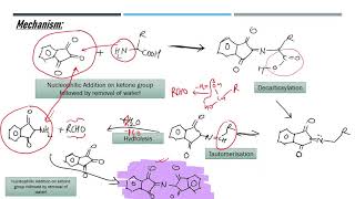 Ninhydrin and Biuret Test [upl. by Amluz504]