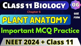 PLANT ANATOMY  Class 11 Biology MCQ Chapter 6  6 MCQ Test Of Biology  NEET 2024  CBSE  BSEB [upl. by Ballou]