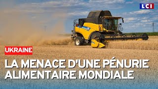 Bientôt une pénurie alimentaire mondiale [upl. by Lletnahc]