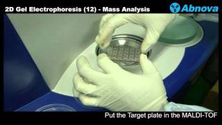 2D Gel Electrophoresis 12 Mass Analysis [upl. by Capps]