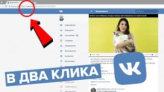 Как скачать видео с ВК за 10 секунд [upl. by Feetal]