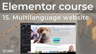 Elementor Tutorial 15  Polylang Wordpress plugin tutorial [upl. by Anastatius181]