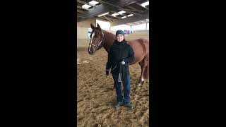 1 Showmanship Video mit Sophie amp Paris „Kette einschnallen und verwenden“ [upl. by Arotahs339]