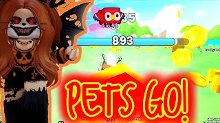 Pets Go Inferno Update [upl. by Adnylem266]