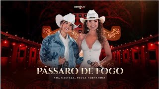 Ana Castela ft ‪paulafernandes‬  Pássaro de Fogo [upl. by Aretha262]