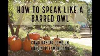 Learn to Make a Barred Owl Call [upl. by Bradeord460]