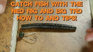 Fishing a Ned Rig with a TRD for Bass  Fishing Tip Ned Rig [upl. by Nyrahtak87]