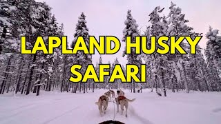 🇫🇮HUSKY SAFARI  LAPLAND  FINLAND  SAARISELKA  WINTER  ARCTIC SAFARI SLOMINSKI  KAKSLAUTTANEN [upl. by Ainimreh]