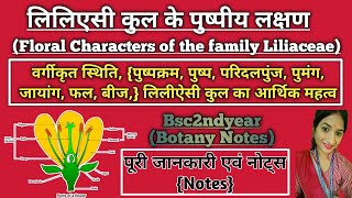 लिलिएसी कुल के पुष्पीय लक्षण  Floral Characters Of The Family Liliaceae  Bsc2ndyear Botany Notes [upl. by Asiil]