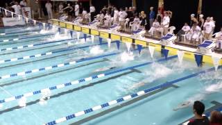 2014 Speedo CIS Swimming Championship Day Two Recap [upl. by Sarine]