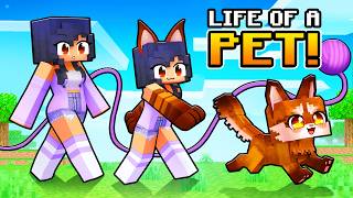 Having a PET LIFE in Minecraft [upl. by Cofsky]