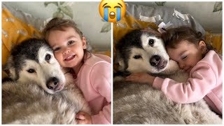 Adorable Baby Tickling Her Huskies Head She Loves It The Cutest Cuddles [upl. by Diella]