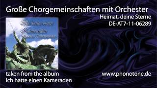 Große Chorgemeinschaft mit Orchester  Heimat deine Sterne [upl. by Edrea240]