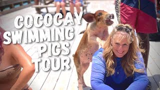 Royal Caribbean Swimming Pigs Tour Review [upl. by Kuska]