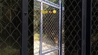 nanital zoo2024 subscribers viralvideo [upl. by Llewoh512]